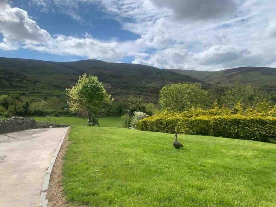 Vila Mountain House Omeath Near Carlingford O Meith Exteriér fotografie
